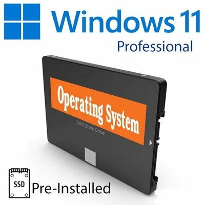 Windows 11 Pro Plug & Play SSD